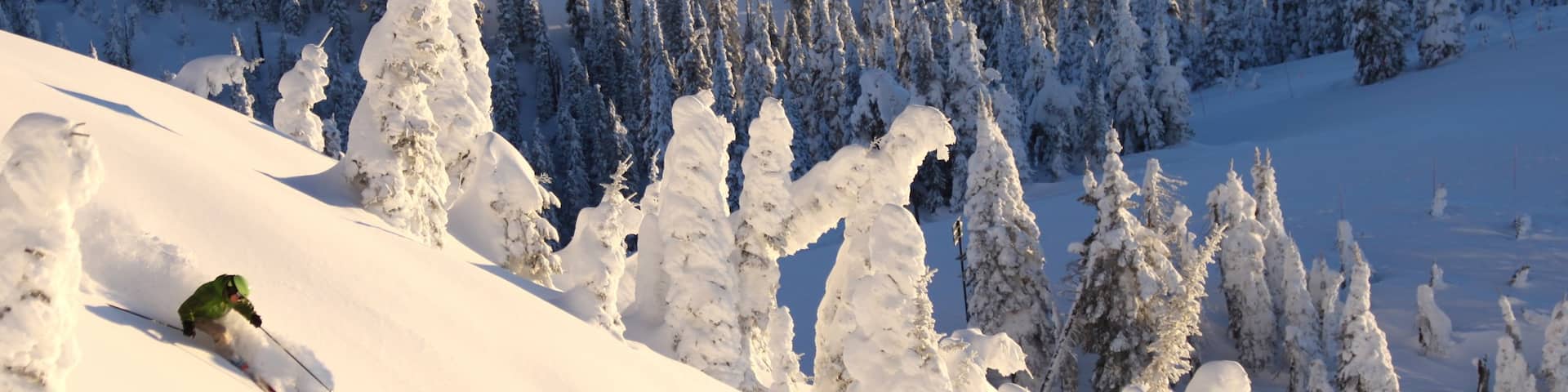 Whitefish Mountain Ski Resort showing forests and snow