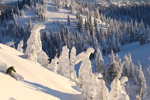 Station de ski de Whitefish Mountain mettant en vedette forêts et neige
