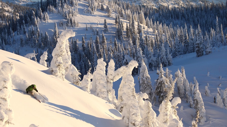 Station de ski de Whitefish Mountain mettant en vedette forĂȘts et neige