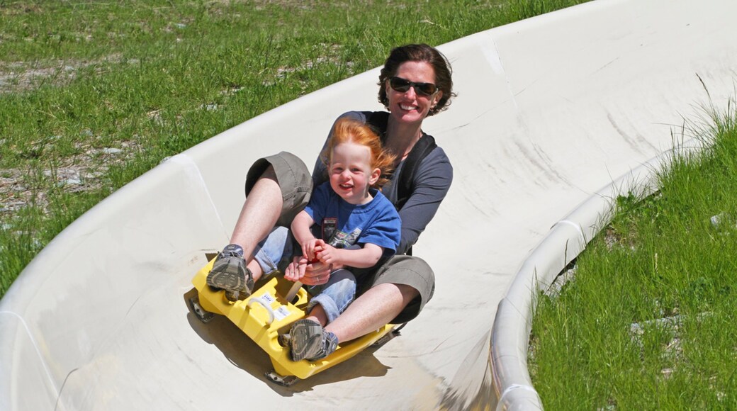 Photo provided by Whitefish Mountain Resort