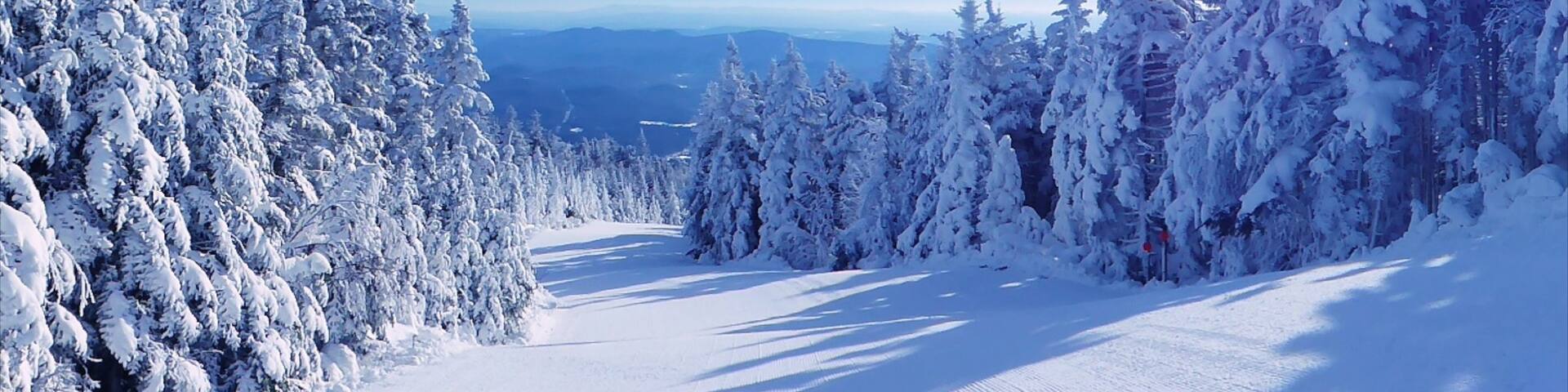 Okemo Valley Golf Club which includes snow and forest scenes