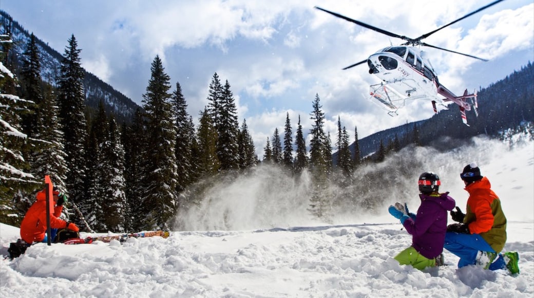 Photo fournie par Silver Star Mountain Resort