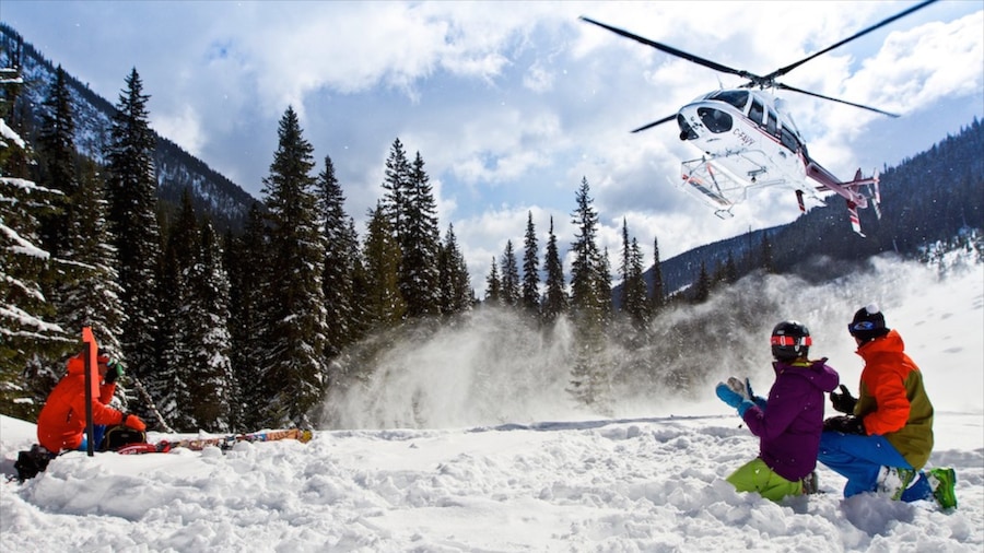Silver Star Ski Resort which includes aircraft and snow as well as a small group of people