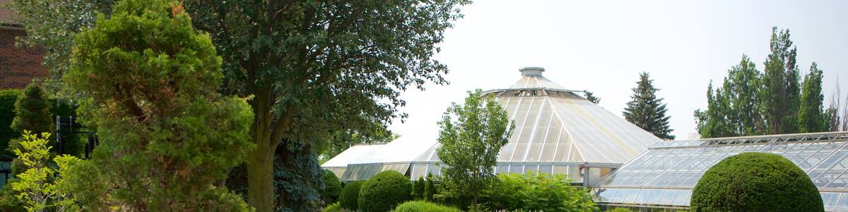 Brampton mit einem Park und Blumen