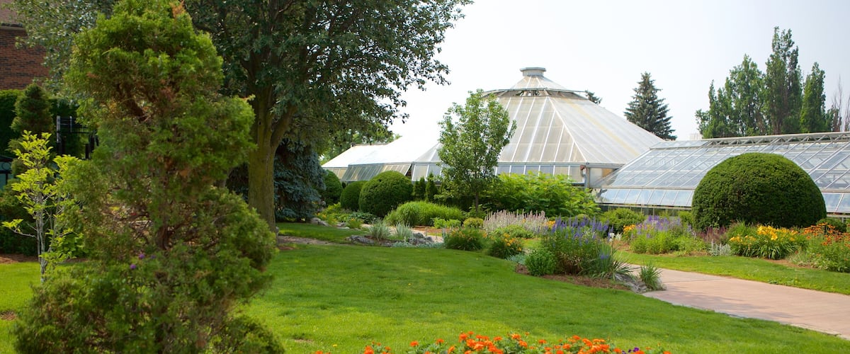 Brampton ofreciendo flores y un parque