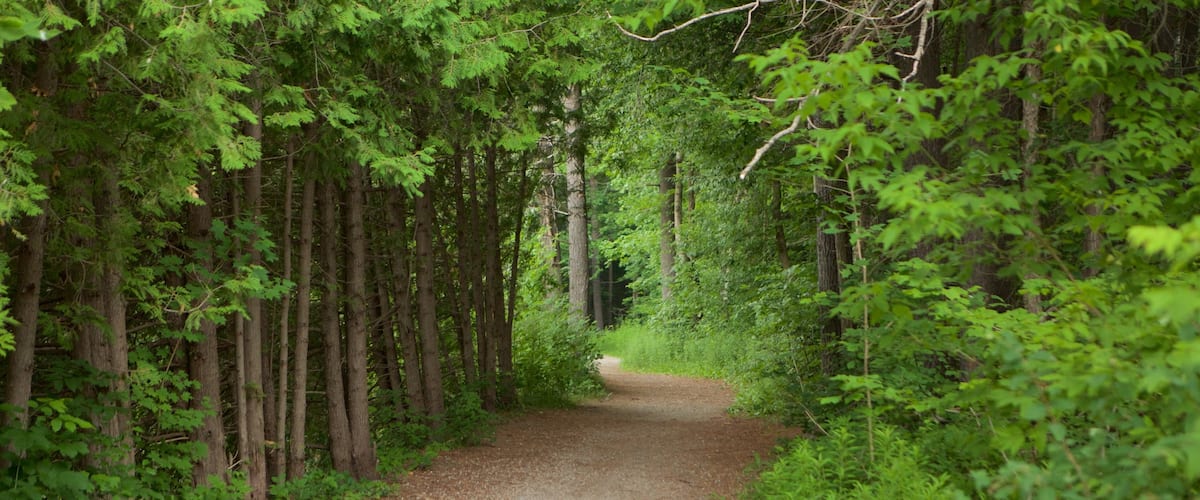 Vaughan which includes a garden
