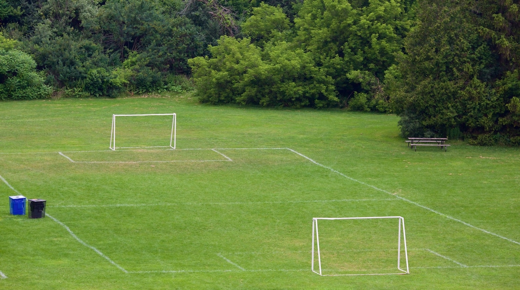 Vaughan showing a garden