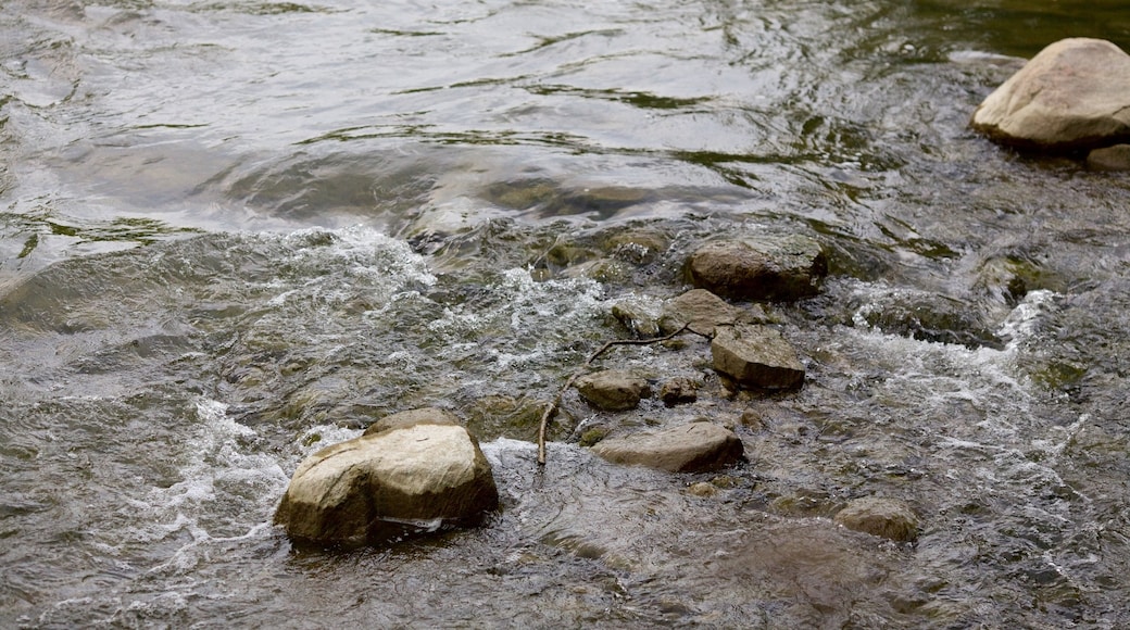 Vaughan que incluye un río o arroyo