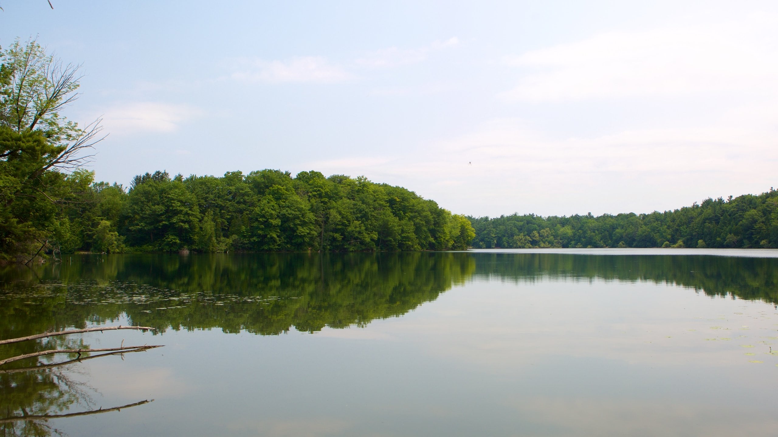 Richmond Hill showing a lake or waterhole