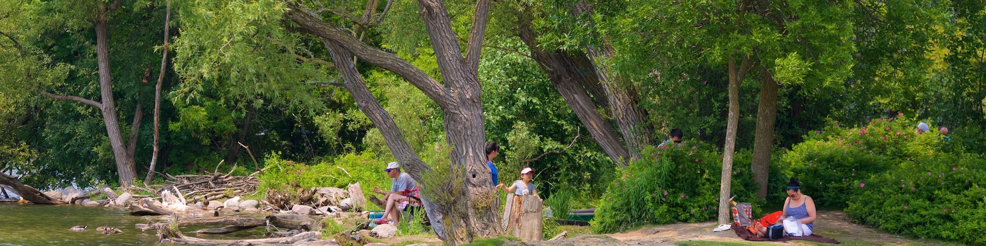 Richmond Hill showing a park and a river or creek as well as a small group of people