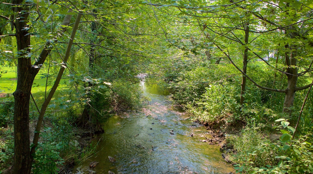 Brampton ofreciendo jardín y un río o arroyo