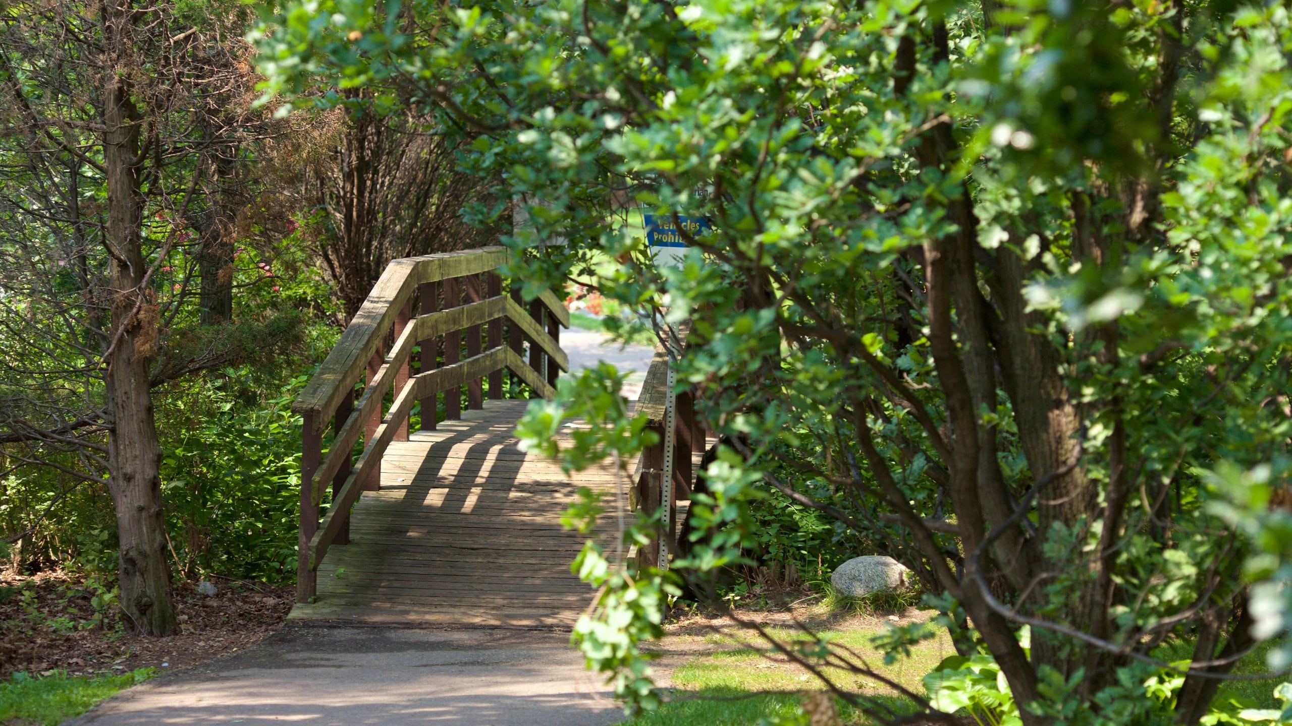 Brampton showing a bridge and a garden
