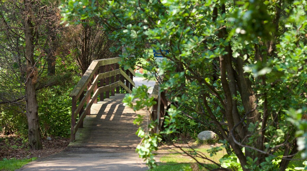 Brampton mettant en vedette pont et jardin