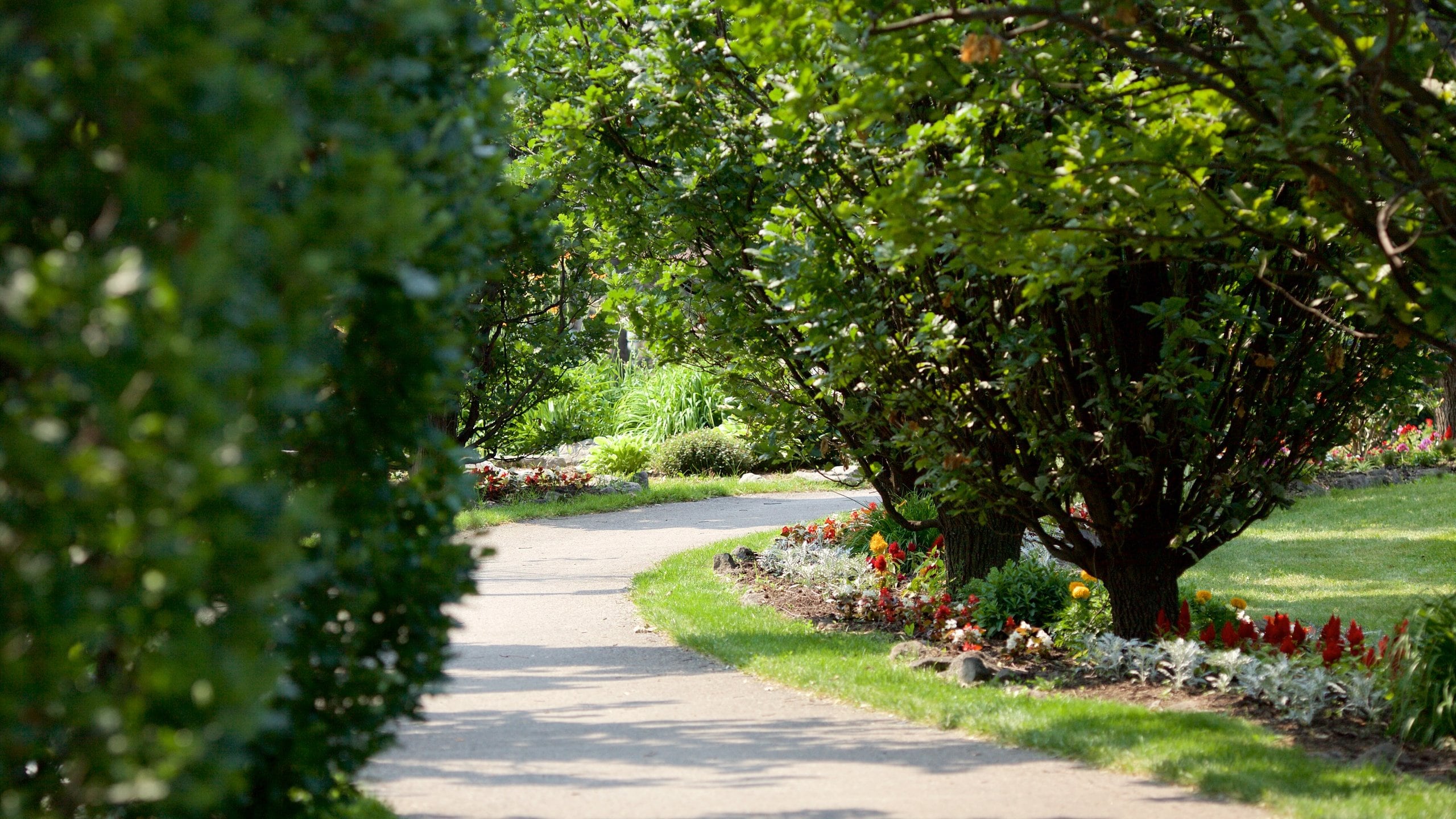 Brampton featuring flowers and a park