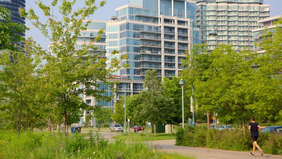 Etobicoke which includes a city and a park as well as an individual female