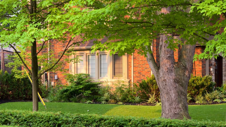 Etobicoke featuring a house