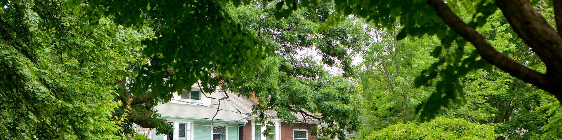 Scarborough Village which includes a garden