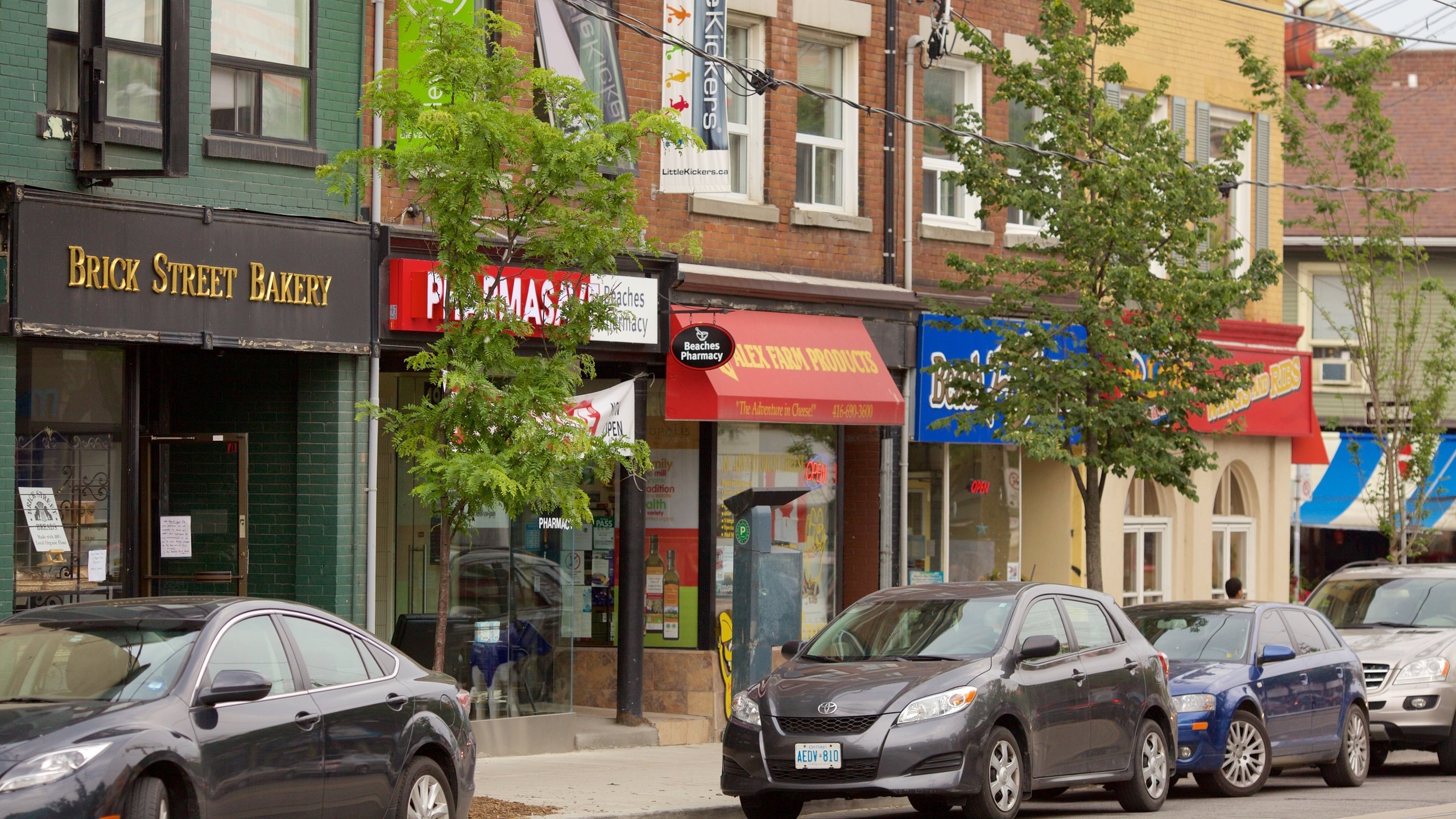 Scarborough Village Travel Guide: Best of Scarborough Village, Toronto Travel 2025 | Expedia.co.in