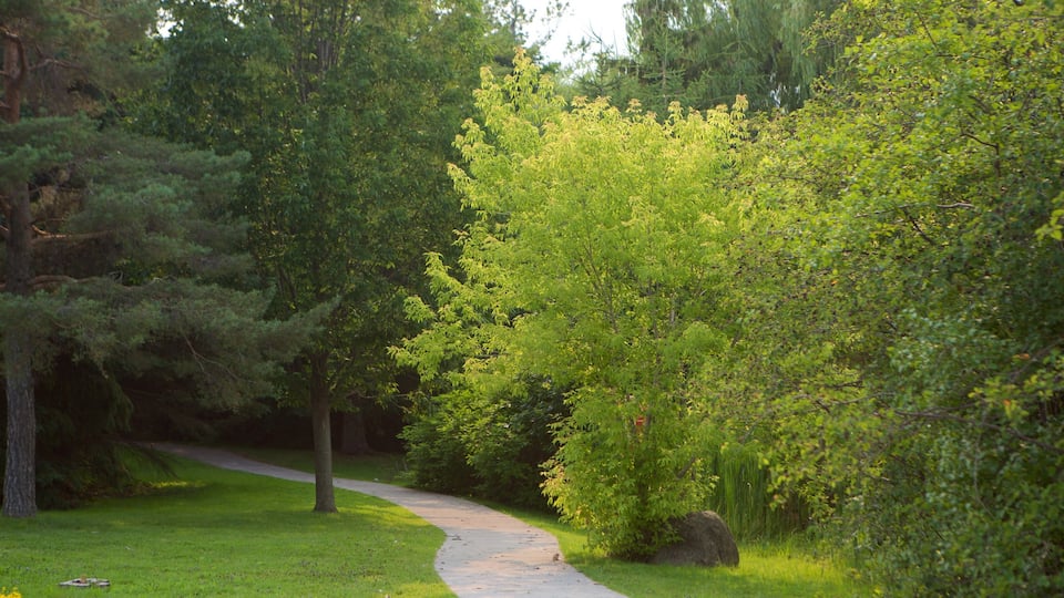 Thornhill which includes a park