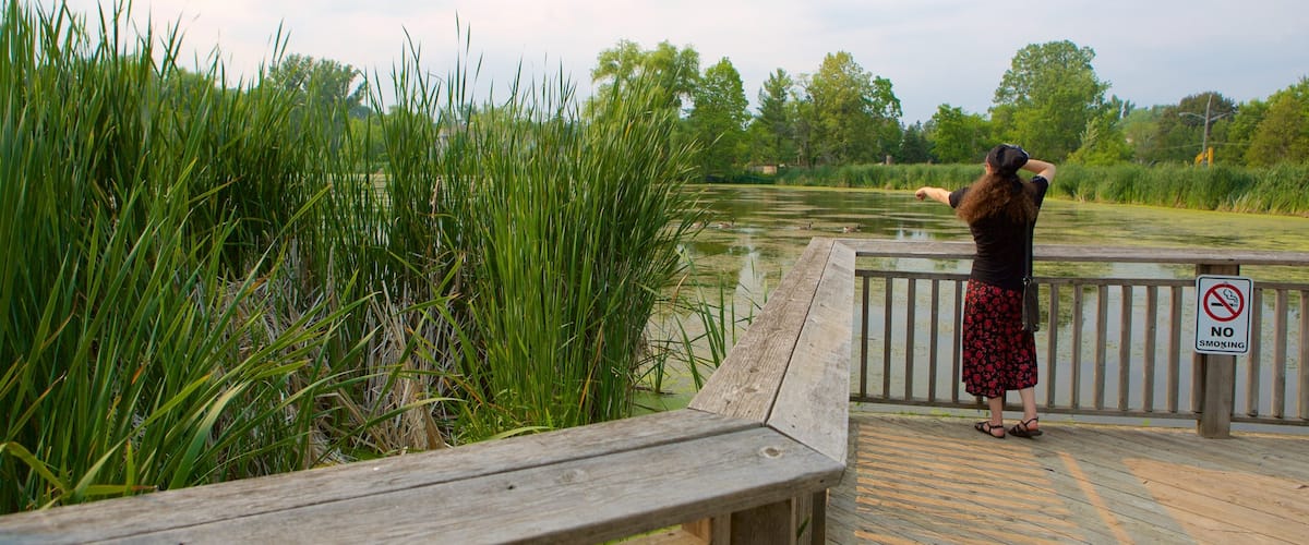 Thornhill featuring a garden and a pond as well as an individual female