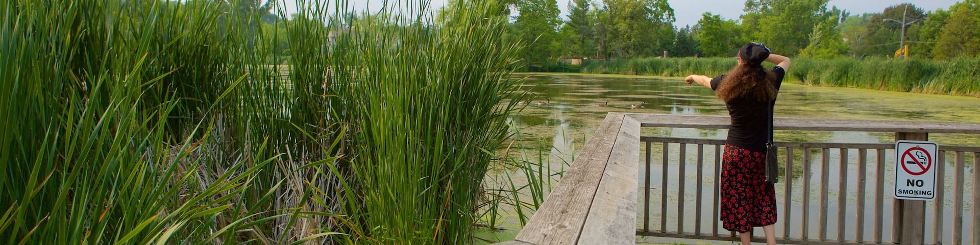 ソーンヒル どの含み 池 と 公園 及び 女性 (個人)