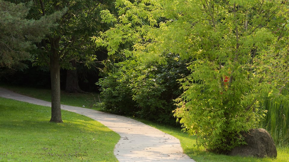 Thornhill featuring a park