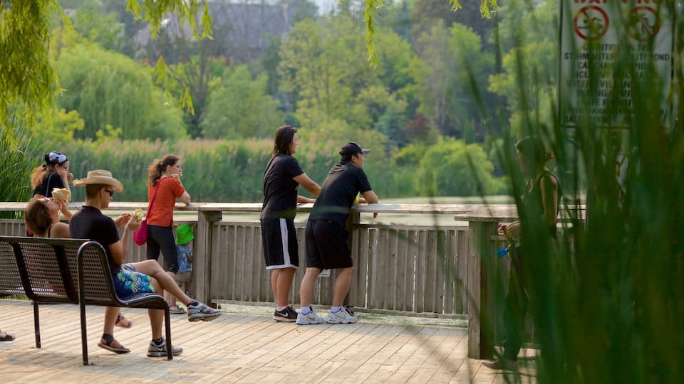 Thornhill showing a park and views as well as a small group of people