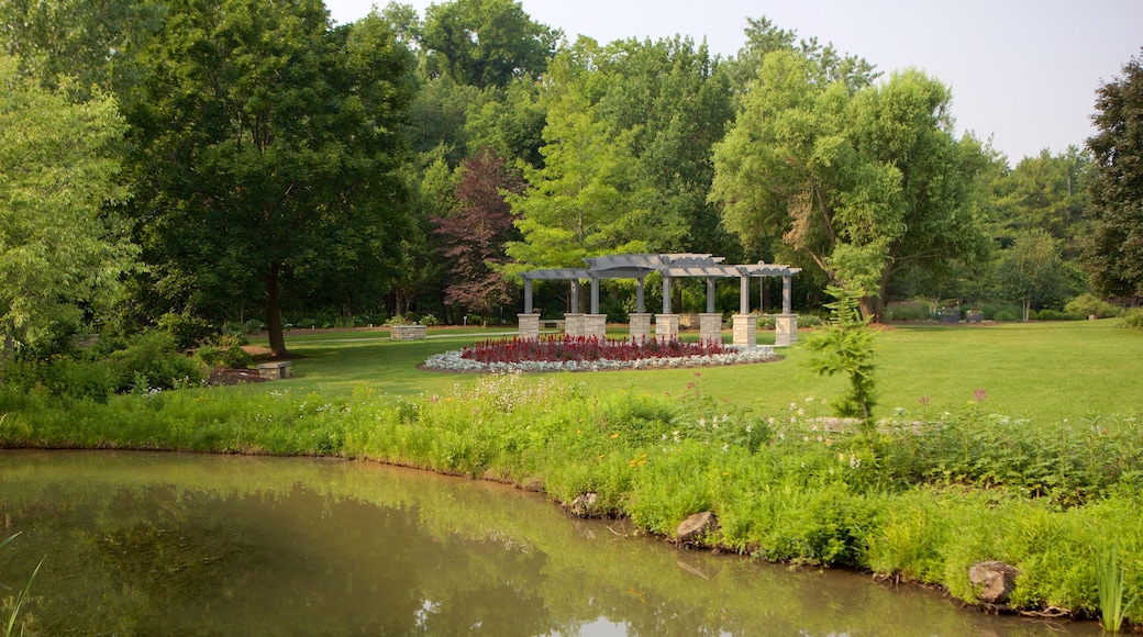 Rexdale bevat een vijver en een park