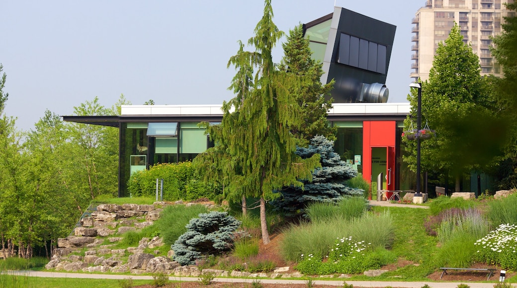 Rexdale mostrando architettura moderna
