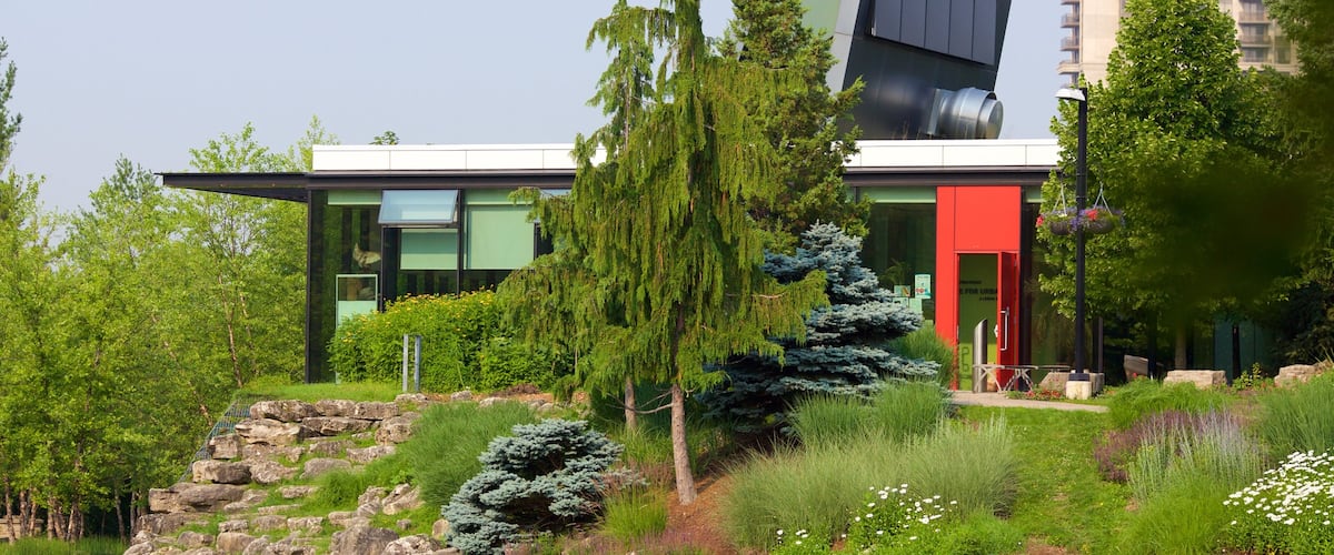 Rexdale showing modern architecture