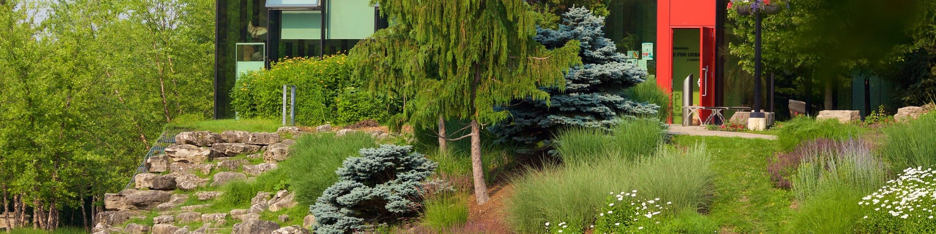 Rexdale which includes modern architecture