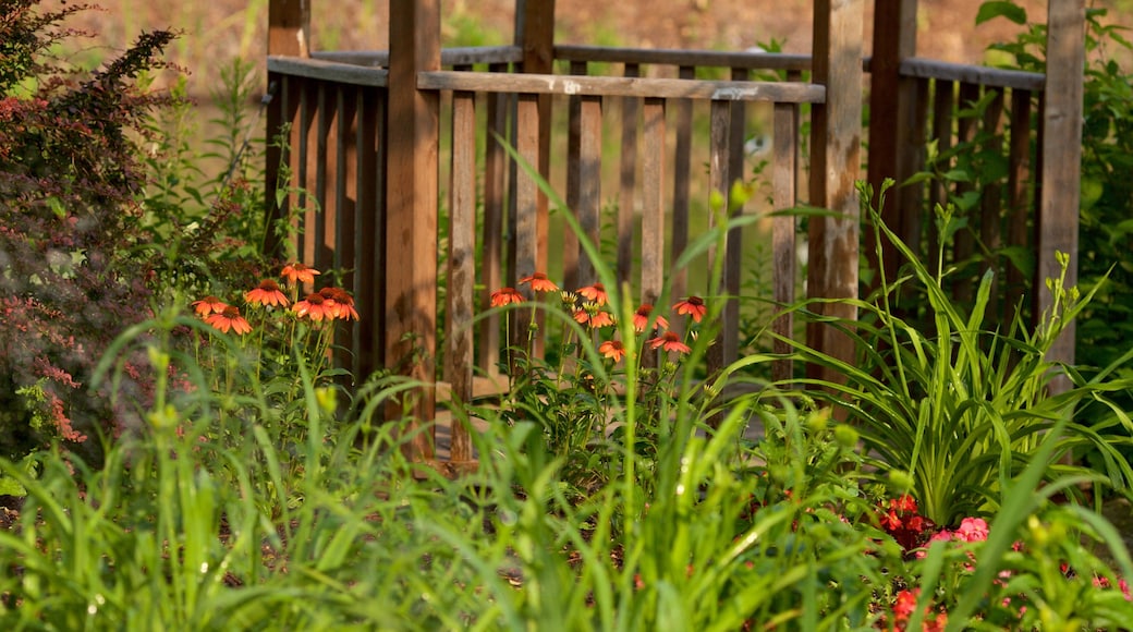 Rexdale bevat een tuin en bloemen