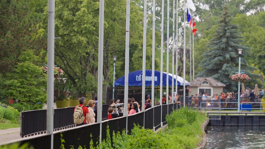 Toronto Islands which includes a bay or harbour as well as a small group of people