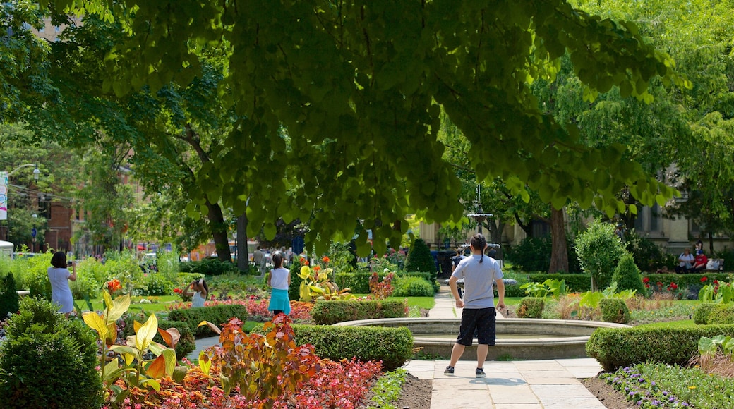 Old Town showing a fountain and a park as well as a small group of people