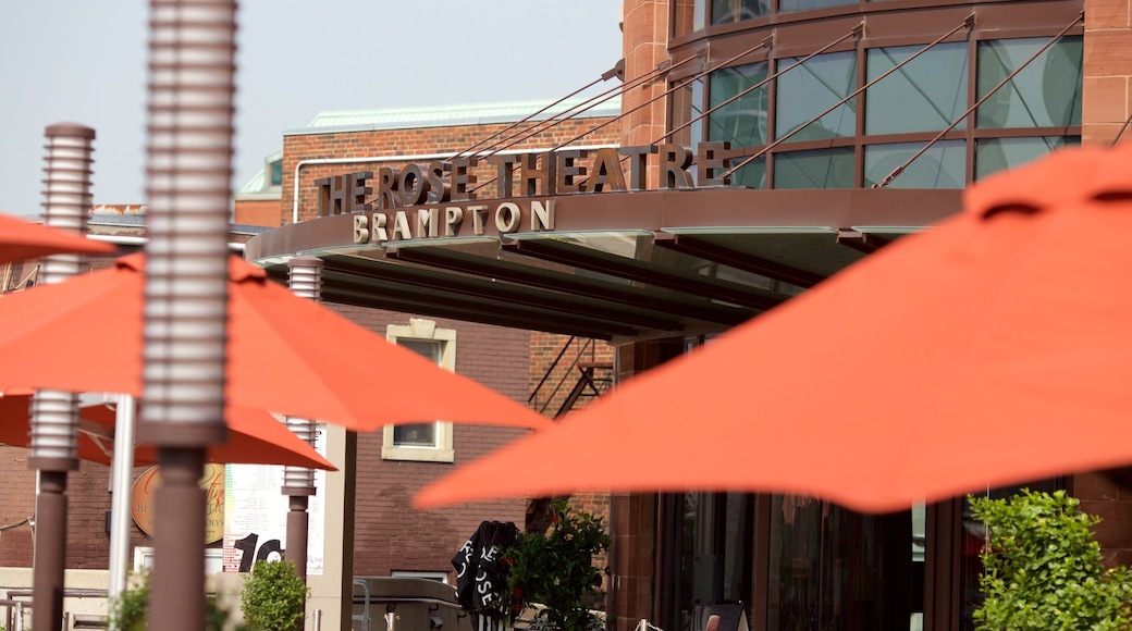 Rose Theatre showing signage and theater scenes