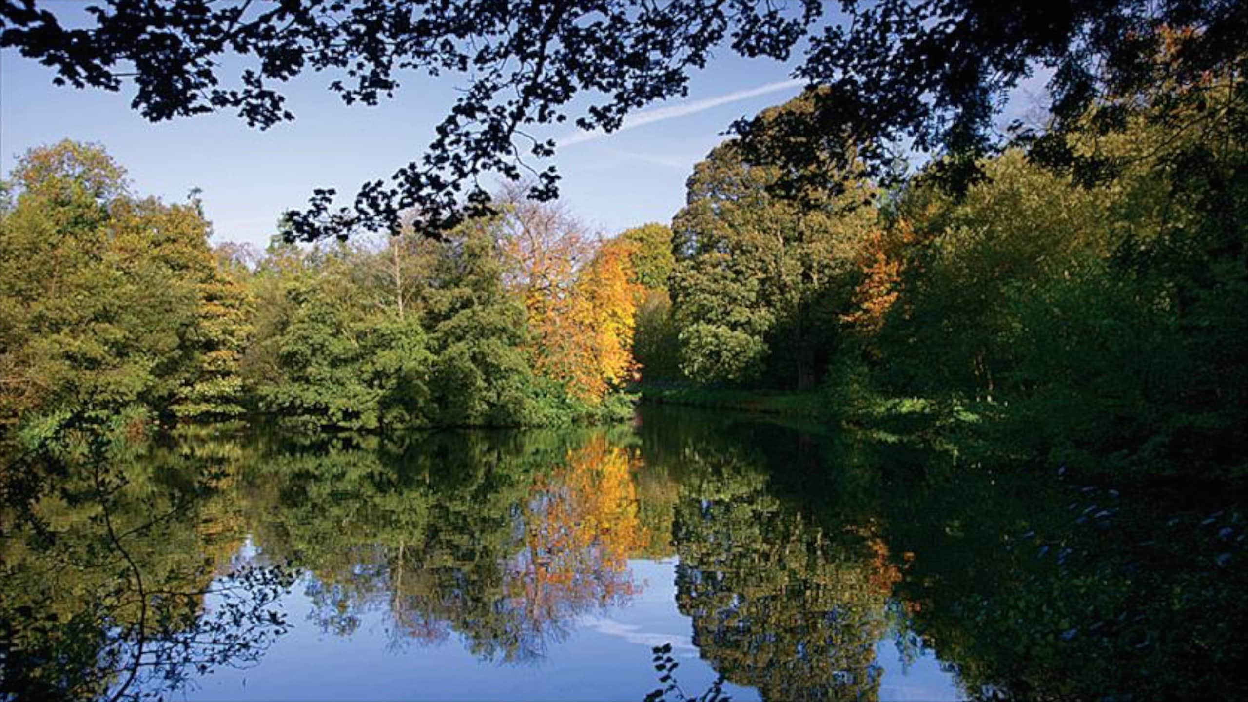 Noord-Ierland inclusief herfstbladeren, bos en een meer of poel
