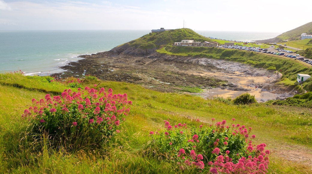 Bracelet Bay Beach featuring general coastal views and wild flowers
