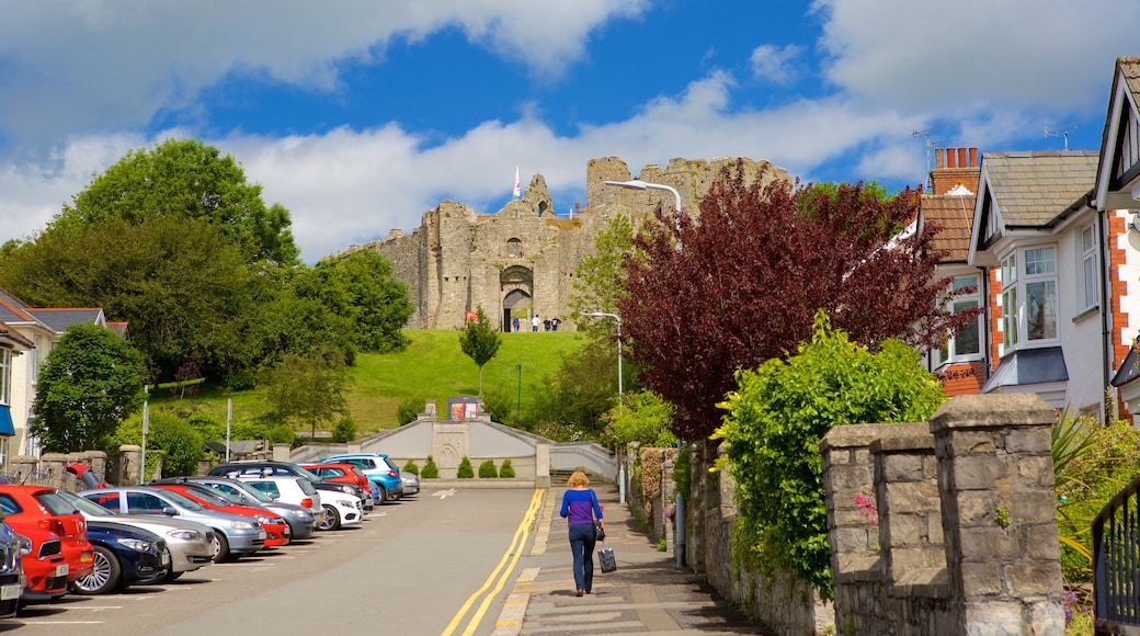 Swansea showing street scenes