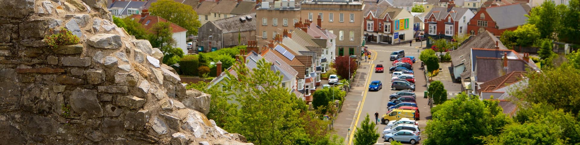 Swansea welches beinhaltet Küstenort und allgemeine Küstenansicht