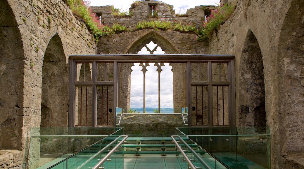 Château d\'Oystermouth mettant en vedette patrimoine historique