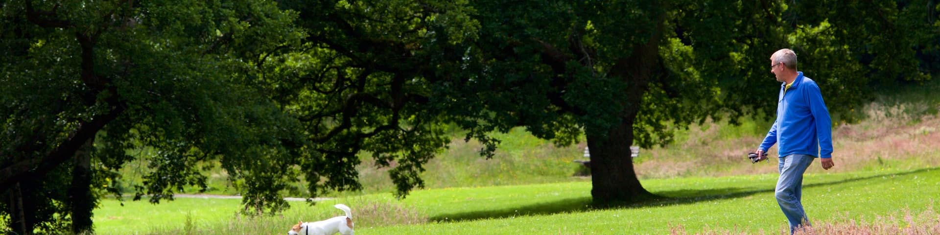 Singleton Park showing hiking or walking and a park as well as an individual male