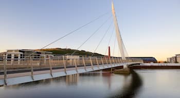 Swansea mit einem Fluss oder Bach und Brücke