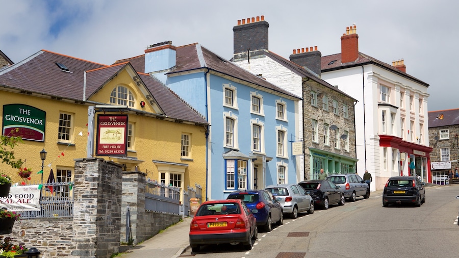 Cardigan showing street scenes