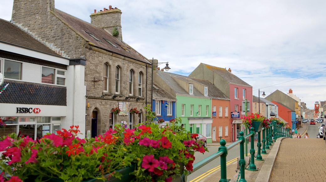 Pembroke showing street scenes