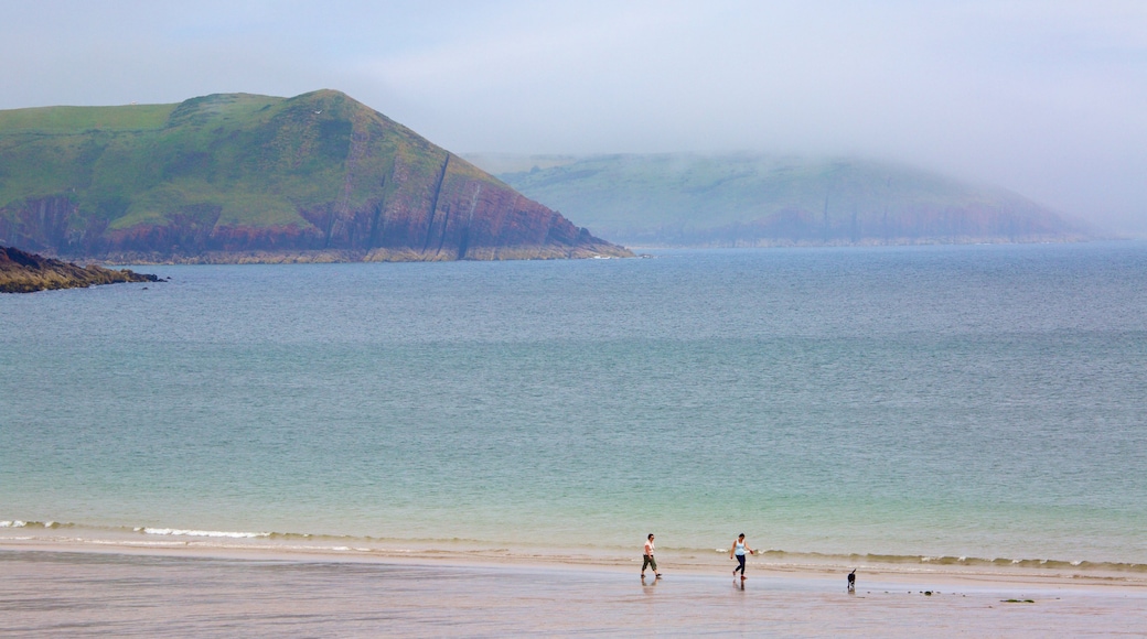 Freshwater East Beach som inkluderer tåke, kyst og sandstrand