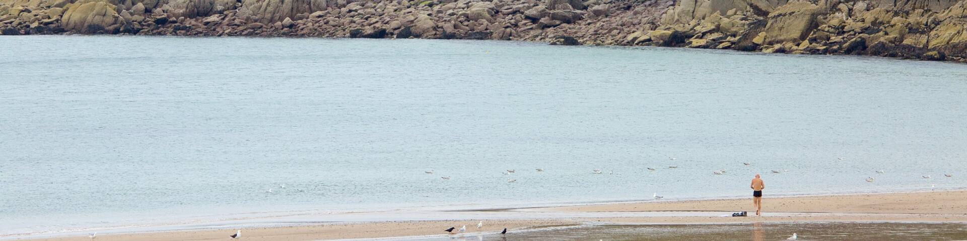 Freshwater East Beach showing rugged coastline, general coastal views and a beach
