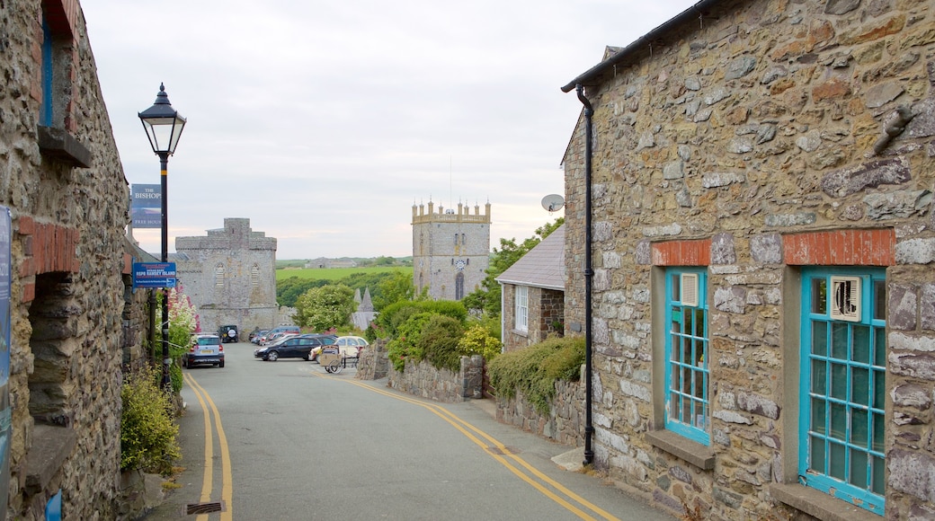 St Davids which includes street scenes