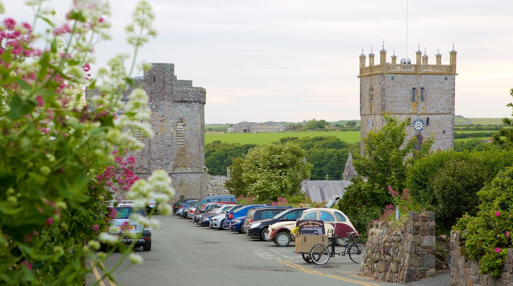 St Davids showing a small town or village and street scenes