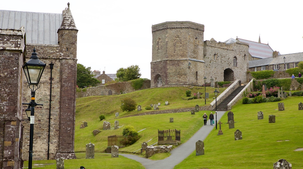St Davids showing a church or cathedral, a cemetery and heritage elements