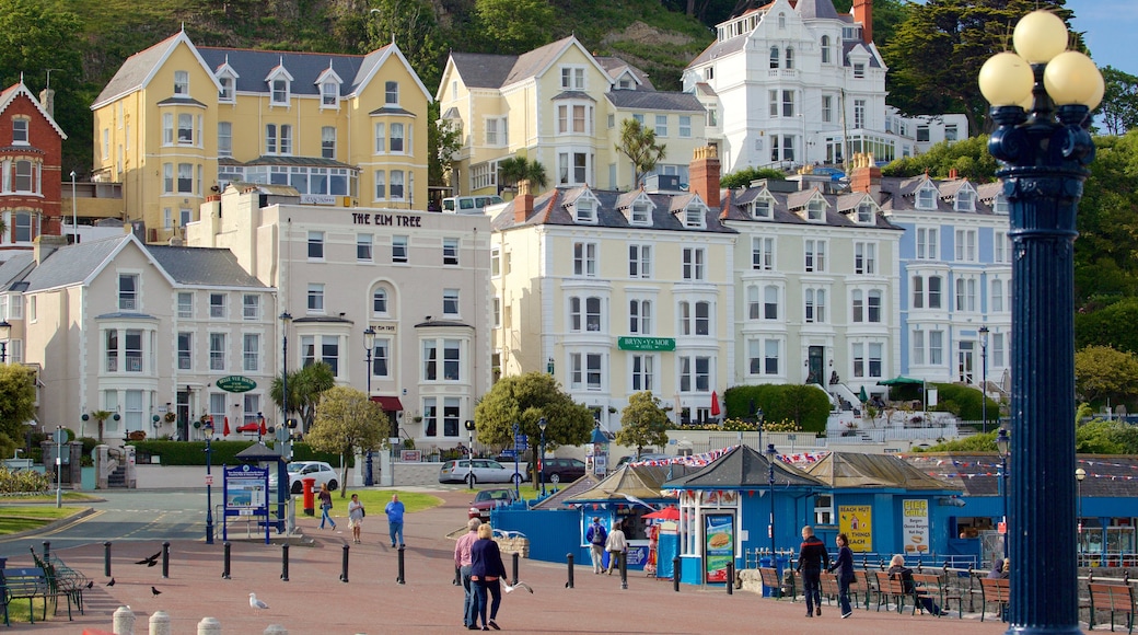 polka dot travel llandudno